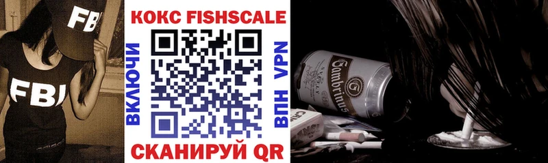 где купить наркоту  Мариинский Посад  Cocaine Fish Scale 