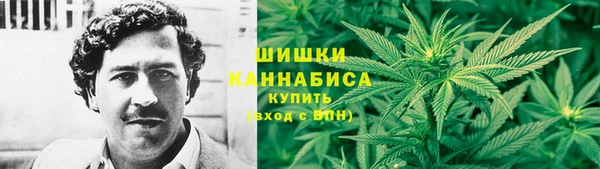 2c-b Сосновоборск