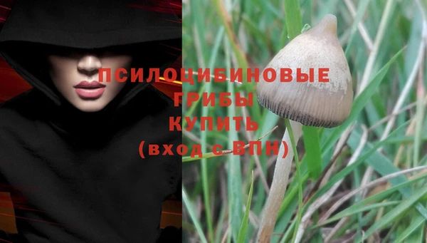 мдма Гусев