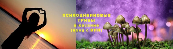 прущий лед Гусь-Хрустальный