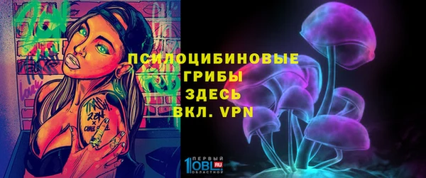 прущий лед Гусь-Хрустальный